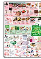 page 1 thumbnail